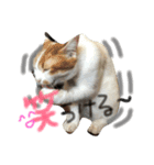 かわいいチビ（個別スタンプ：9）