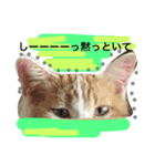 かわいいチビ（個別スタンプ：13）