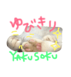 かわいいチビ（個別スタンプ：15）
