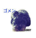 qoo's（個別スタンプ：2）