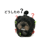 qoo's（個別スタンプ：3）