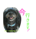 qoo's（個別スタンプ：7）