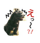 qoo's（個別スタンプ：11）