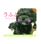 qoo's（個別スタンプ：12）