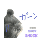 qoo's（個別スタンプ：15）