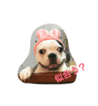 ペット心（個別スタンプ：2）