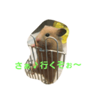 ペット心（個別スタンプ：7）