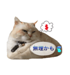 イブのスタンプ3（個別スタンプ：3）