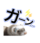 ここあ すたんぷ（個別スタンプ：6）