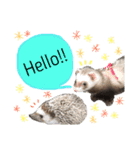 ここあ すたんぷ（個別スタンプ：13）