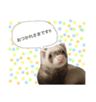 ここあ すたんぷ（個別スタンプ：14）