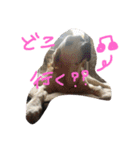 我が家のラブくん。（個別スタンプ：37）