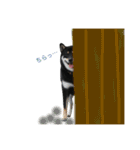 ワンで挨拶（個別スタンプ：13）