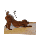 ToyPoodle むぎ（個別スタンプ：17）