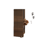 ToyPoodle むぎ（個別スタンプ：24）