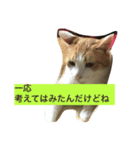ニャンタ vol.3（個別スタンプ：3）