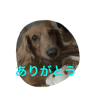 むくアンドりく（個別スタンプ：2）