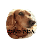 むくアンドりく（個別スタンプ：3）
