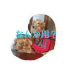 むくアンドりく（個別スタンプ：5）