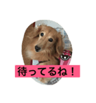 むくアンドりく（個別スタンプ：7）