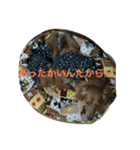 むくアンドりく（個別スタンプ：8）