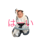 ひなこの物語（個別スタンプ：2）