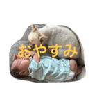 ひなこの物語（個別スタンプ：6）