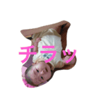 ひなこの物語（個別スタンプ：8）