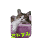 めい314（個別スタンプ：3）