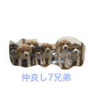 チョロミ倶楽部へようこそ！！（個別スタンプ：3）