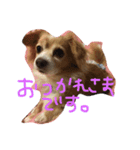 チワックスのモコくん（個別スタンプ：2）