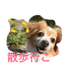 チワックスのモコくん（個別スタンプ：4）