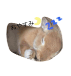 うさぎのゆずちゃん2（個別スタンプ：13）