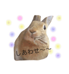 うさぎのゆずちゃん2（個別スタンプ：23）