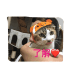 チビスタンプ NO.1（個別スタンプ：6）