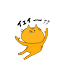 細目ねこ（個別スタンプ：5）