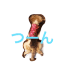 tsundere noechan（個別スタンプ：2）