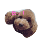 トイプードル バディ♡ティアラ（個別スタンプ：7）