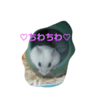 taisetunahito（個別スタンプ：3）