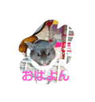 taisetunahito（個別スタンプ：4）