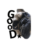 gonta.t（個別スタンプ：5）