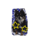 MARUN2xxx（個別スタンプ：2）