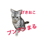 oreokun（個別スタンプ：1）
