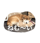 ぶん（個別スタンプ：3）