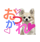 らら（個別スタンプ：3）