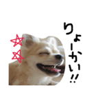 らら（個別スタンプ：4）