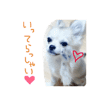 らら（個別スタンプ：6）