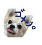 らら（個別スタンプ：8）
