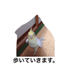 "Yuzu"（個別スタンプ：2）