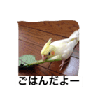 "Yuzu"（個別スタンプ：3）